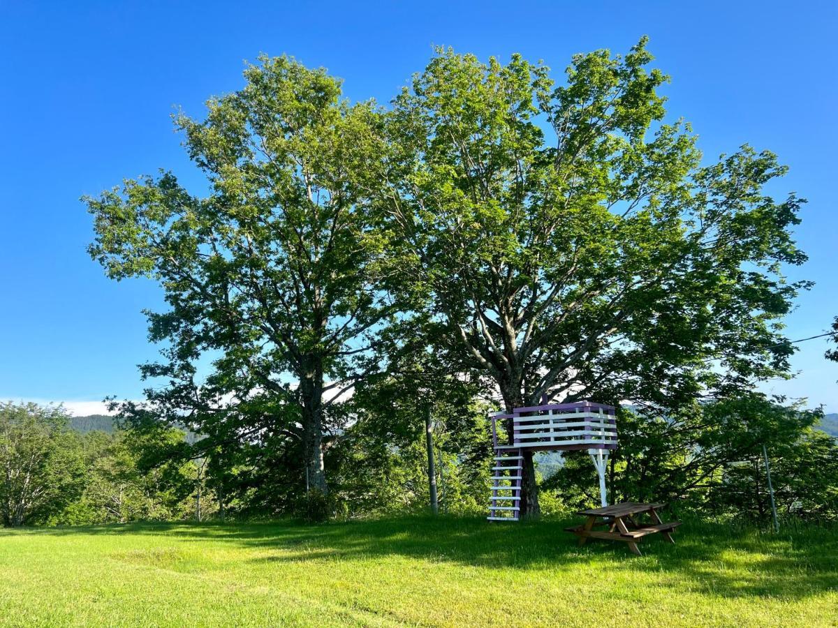 Agriturismo Il Serrino San Marcello Pistoiese Buitenkant foto