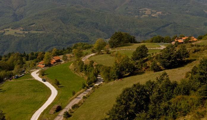 Agriturismo Il Serrino San Marcello Pistoiese Buitenkant foto